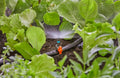 Gardena Spray Nozzle 180° 13321 Garden Plus