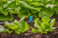 Gardena Small Area Spray Nozzle 13316 Garden Plus