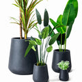 Rounded Tapered - FC-003