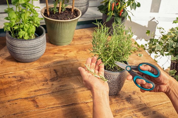 Gardena HerbCut Garden Plus