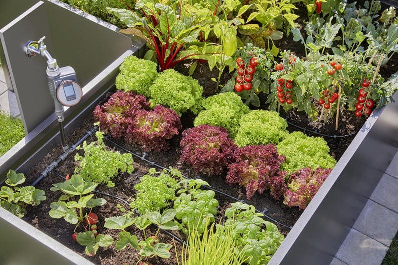 Gardena Start Set for raised beds/beds (35 plants) Garden Plus