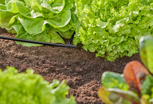 Gardena T-Joint 4.6 mm (3/16") Garden Plus