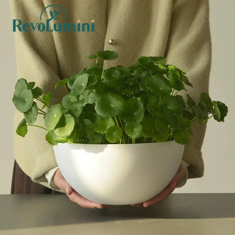 RevoLumini Plastic Hydroponic Planter Set No.7