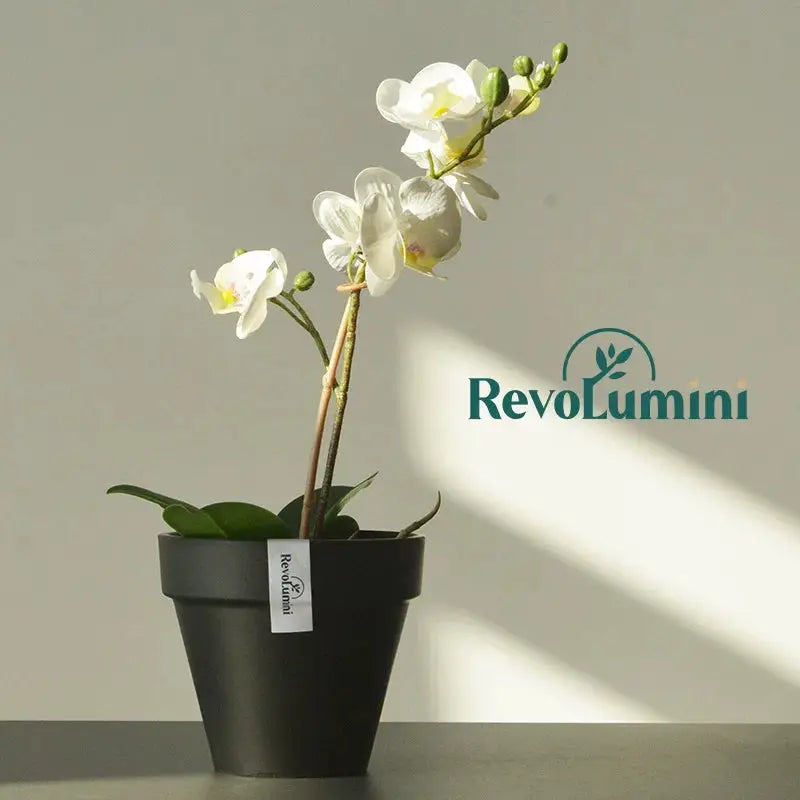 RevoLumini Round Plastic Planter Set for Orchids