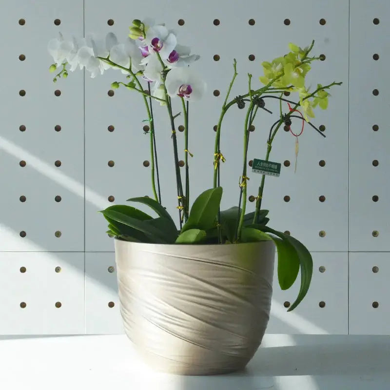 RevoLumini Round Plastic Planter Set for Indoor Décor