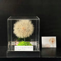 Preserved Sunflower & Dandelion Floral Arrangement