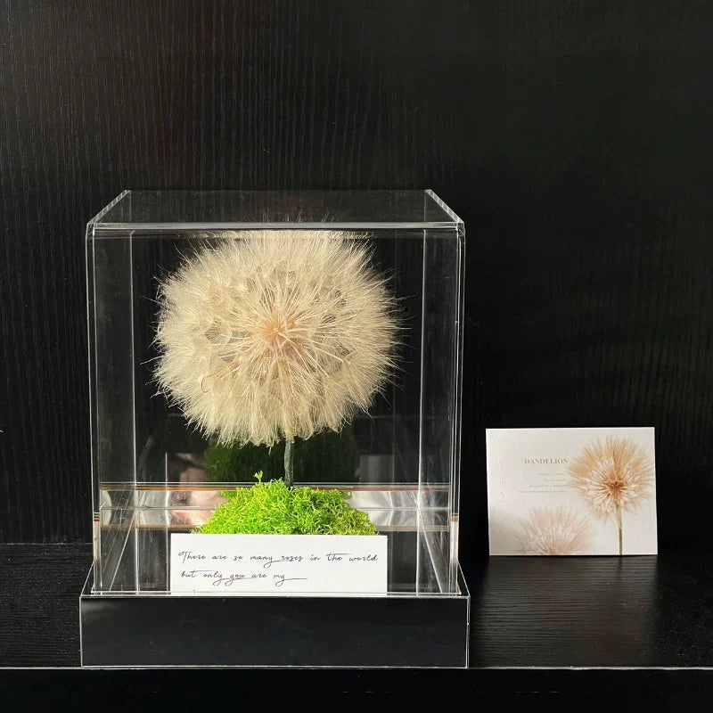 Preserved Sunflower & Dandelion Floral Arrangement