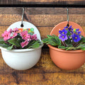 Hanging Planter Pots