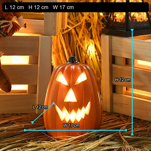 Small Straight Pumpkin
