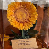 Preserved Sunflower & Dandelion Floral Arrangement