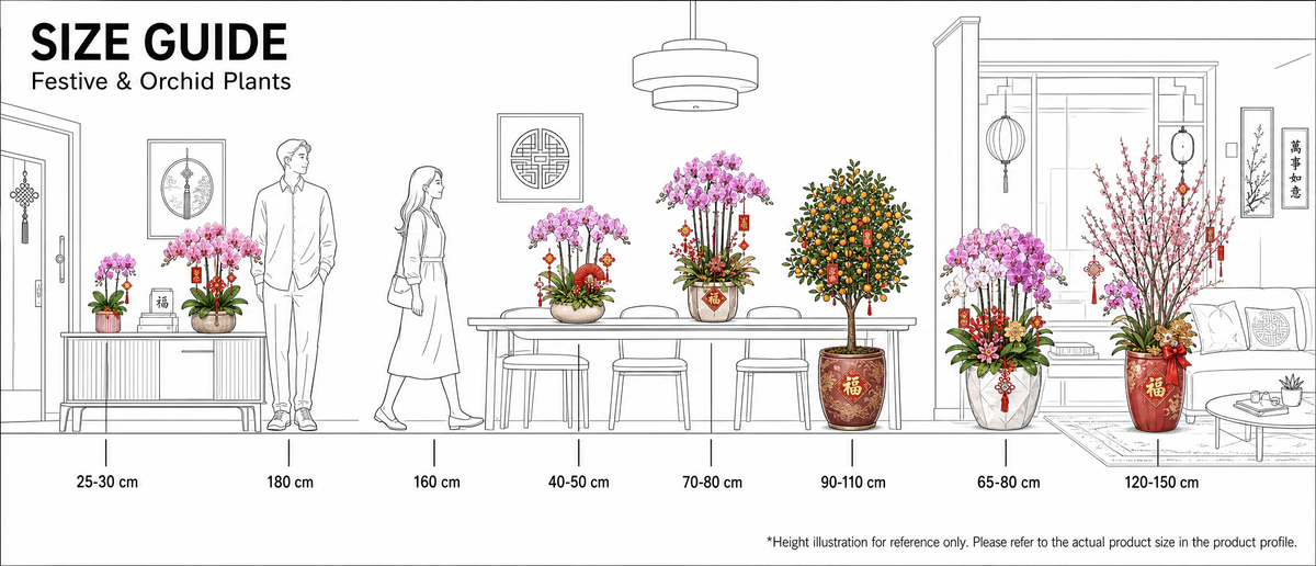 Original plant size reference