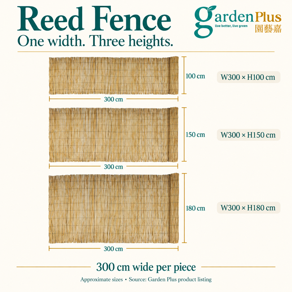 Reed fence size guide: width 300 cm; heights 100, 150 or 180 cm
