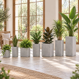 Seven tall square cement planters of different sizes in a bright interior