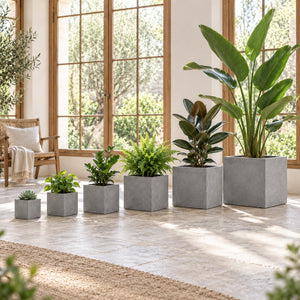 Six sizes of square cement planters styled with plants in a bright interior
