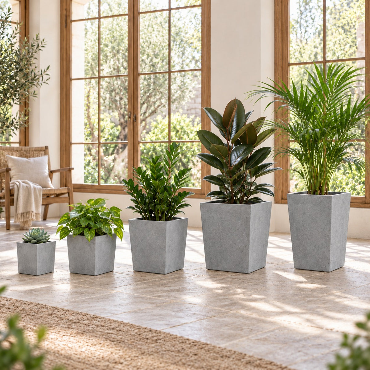 Five tapered cement planters styled with plants in a bright conservatory