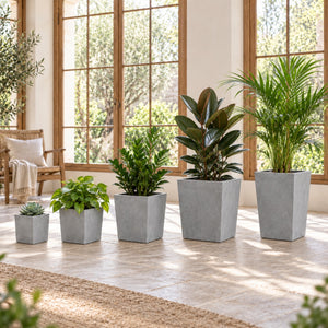 Five tapered cement planters styled with plants in a bright conservatory