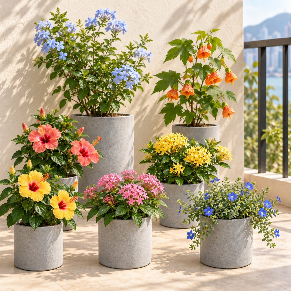 Seven perennial flowering plants in cylinder cement planters; planters sold separately