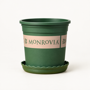 GP Planter PDP overview · monrovia-plastic-pot