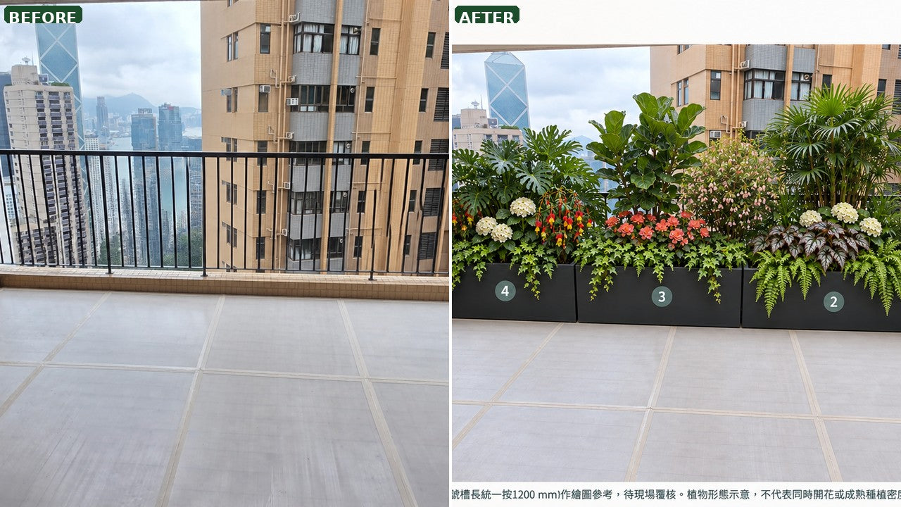 空間植物搭配前後對比（真實案例）