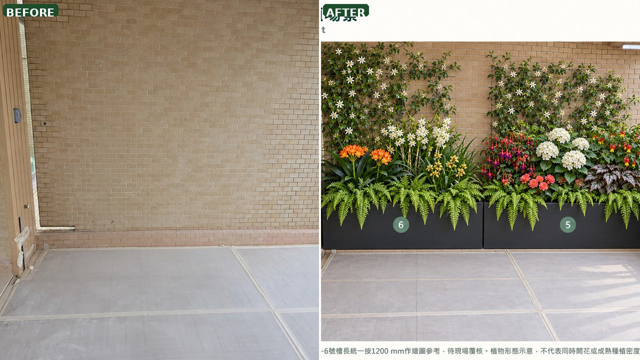 Before and after plant styling — real case