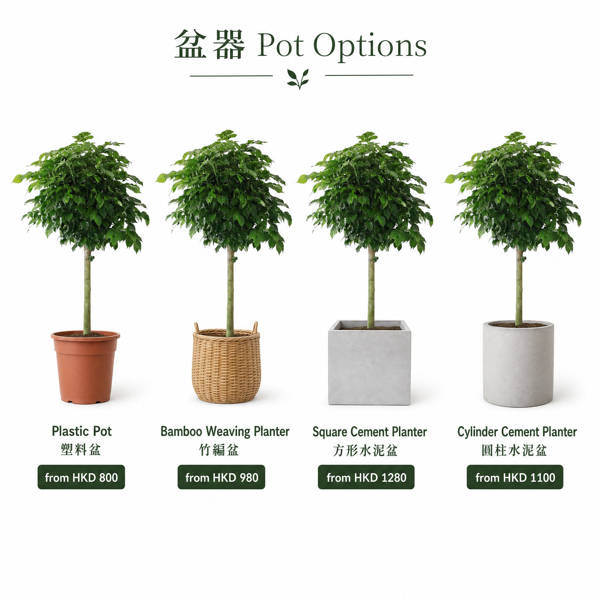 Happiness Tree — pots