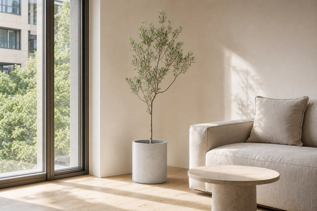 Mediterranean calm for a sunny corner