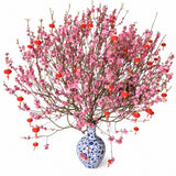 Peach Blossom Cut Flowers — main