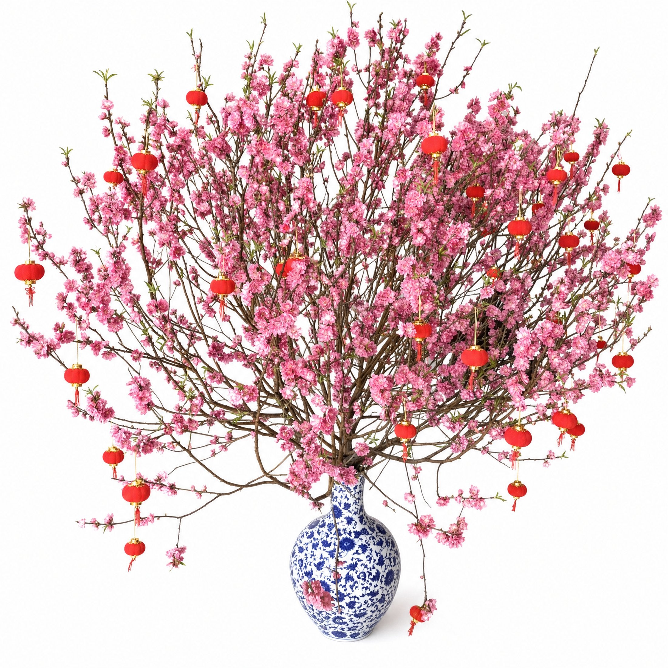 Peach Blossom Cut Flowers — main