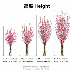 Peach Blossom Cut Flowers — size