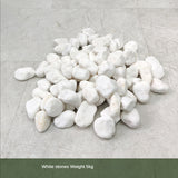 Large Artificial Green Plant Landscape Decoration Set Piece Garden Plus