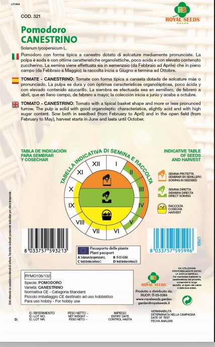 Tomato - Canestrino - Royal Seed RYMO106/132 - COD.321 Garden Plus