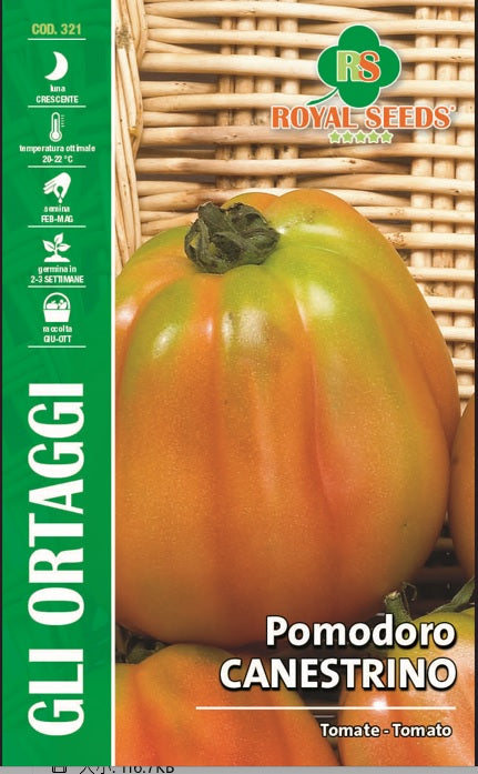 Tomato - Canestrino - Royal Seed RYMO106/132 - COD.321 Garden Plus
