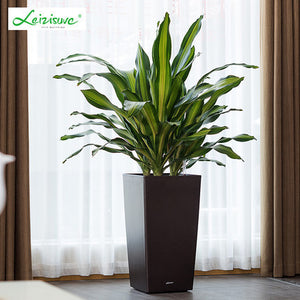 Leizisure Self-Watering Planter High-Trapezoid Garden Plus