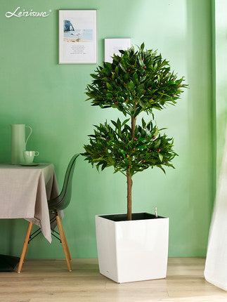 Leizisure Self-Watering Square Planter Garden Plus