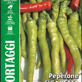 Pimiento - Pepper Sigaretta Biondo - Royal Seed /RYMO 97/16 - COD.312 Garden Plus