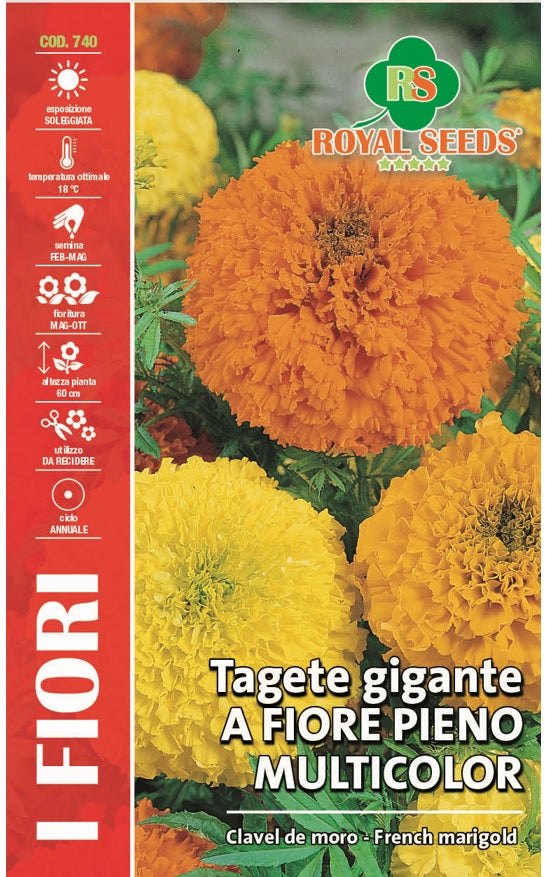 Tagetes Gigante Harmony - French Marigold - Royal Seed RYMA353/2 Garden Plus