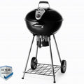 Napolean Grill - NK22K-LEG-2 Garden Plus