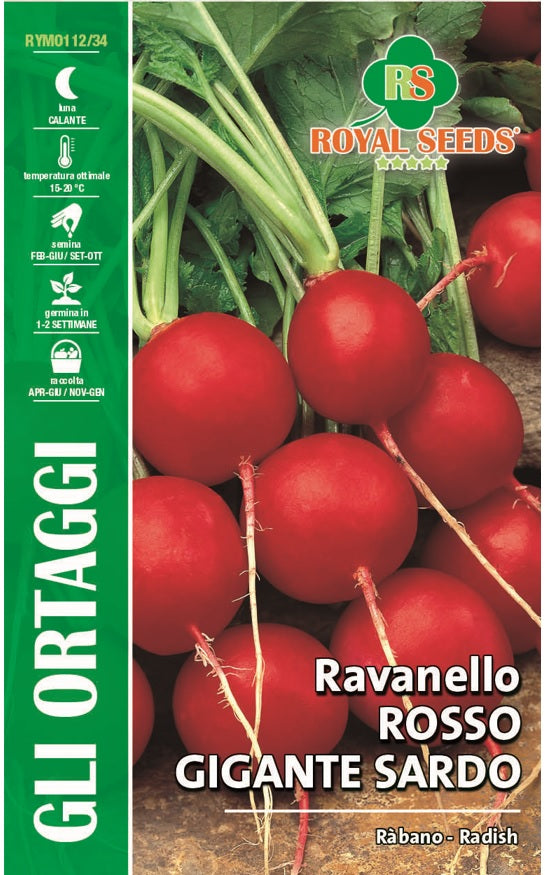 Red Radish Gigante Sardo - Royal Seed RYMO112/34 Garden Plus