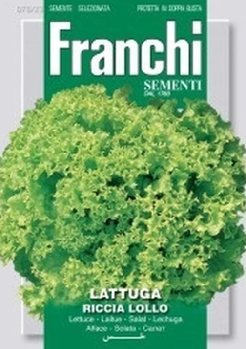 Lettuce Lollo Bionda Green - Franchi Garden Plus