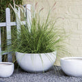 Half-Round Style QG-005 Garden Plus