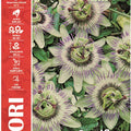 Passion Flora - Royal Seed RYMF341/30 Garden Plus