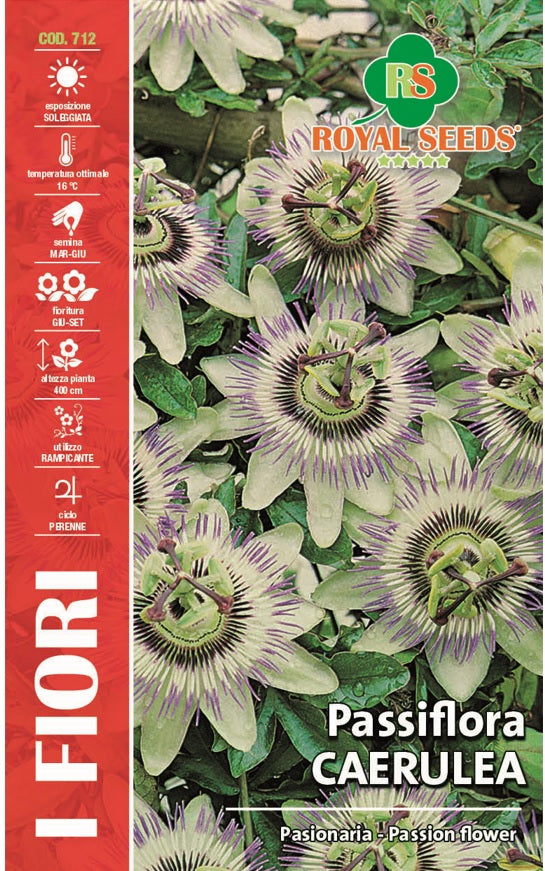Passion Flora - Royal Seed RYMF341/30 Garden Plus