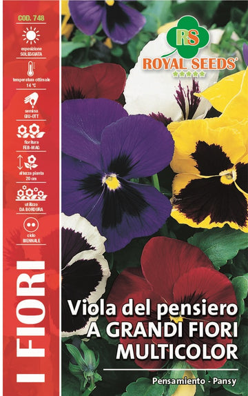 Violet Pansy Colorama Mix - Royal Seed RYMF355/2