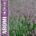 True Lavender Vera - Royal Seed RYMA87/1 - COD.262 Garden Plus