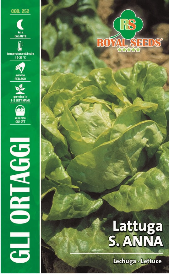 Lettuce S Anna - Royal Seed RYMO79/19