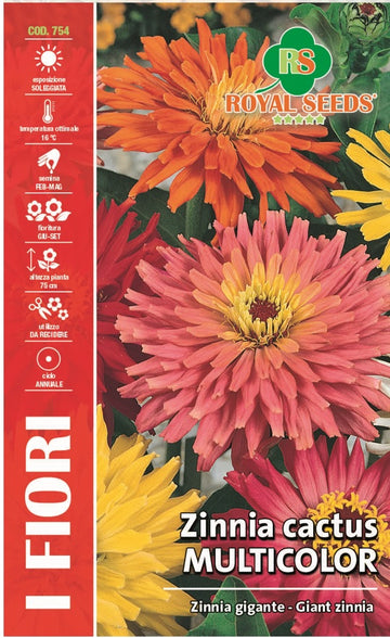 Zinna Giante Cactus Flower Mix - Royal Seed RYMF358/2