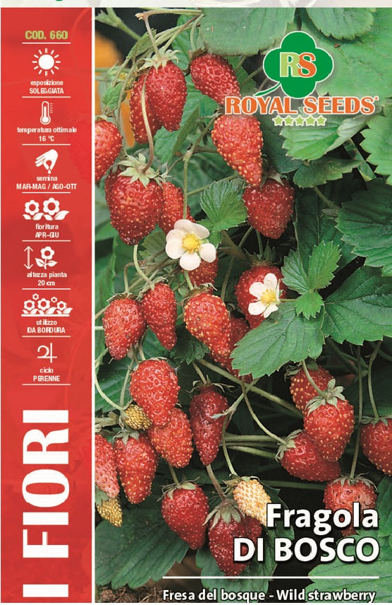 Wild Strawberry - Royal Seed RYMF63/3