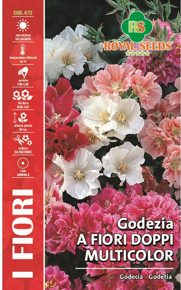 Godetia “GRAZIOSA” Mix Royal Seed RYMA330/1 Garden Plus