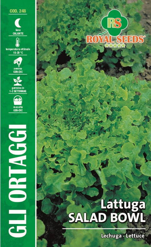 Lettuce Salad Bowl - Royal Seed RYMO78/24 - COD.248 Garden Plus