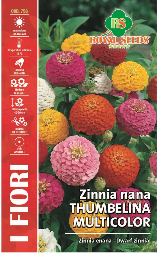 Zinna Dwarf Lilliput Mix - Royal Seed RYMF358/10 - COD.758 Garden Plus